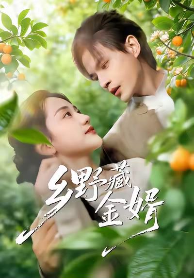 乡野藏金婿（50集）冯琳玲＆吴杰 高清完整版